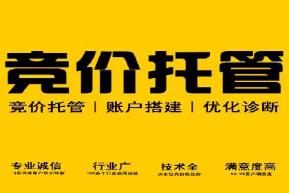 行业先锋的SEM托管公司：如何打造营销新模式